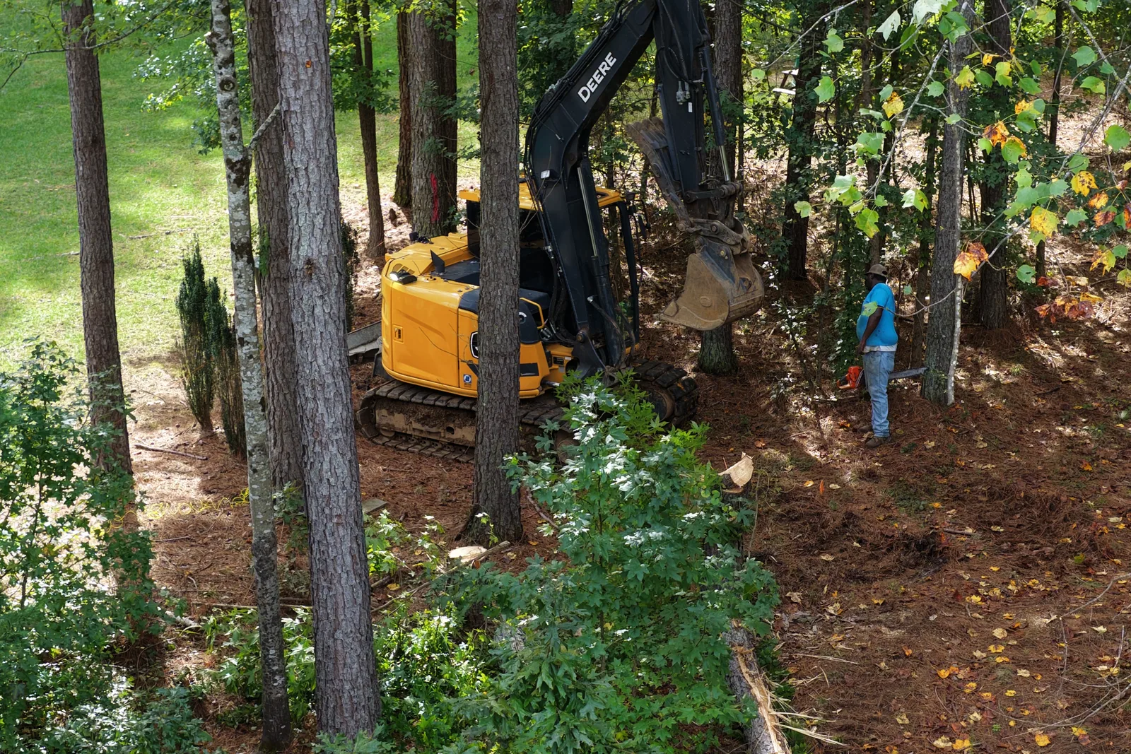 Excavator working among pine trees with a crew member on a wooded lot in Mooresville, NC