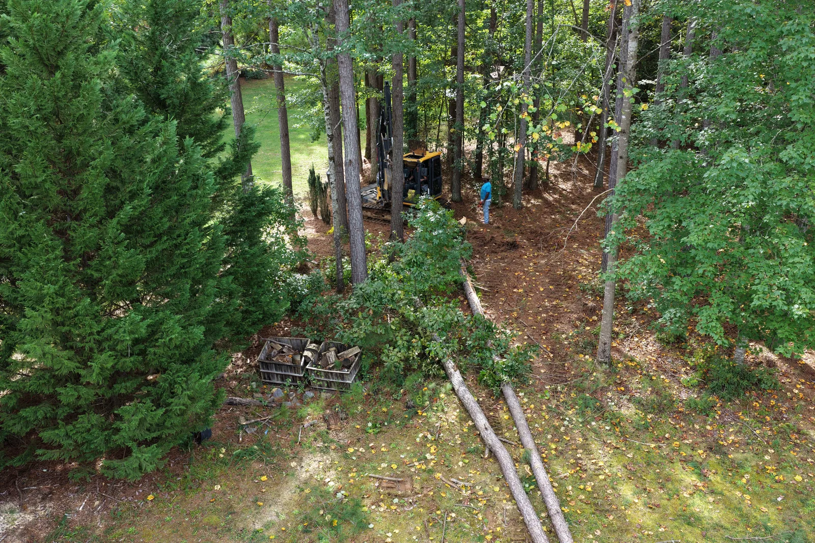 Wide view of a wooded lot being cleared in Mooresville, NC before site prep